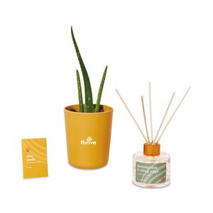 Modern Sprout Find Balance Take Care Kit - Aloe - Find Balance